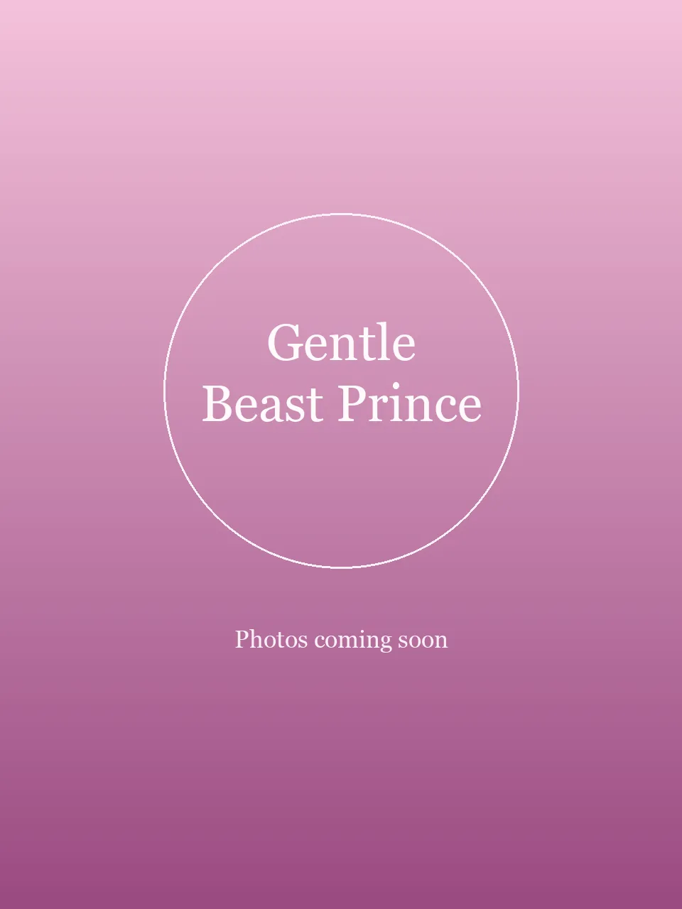 Gentle Beast Prince party character in San Jose
