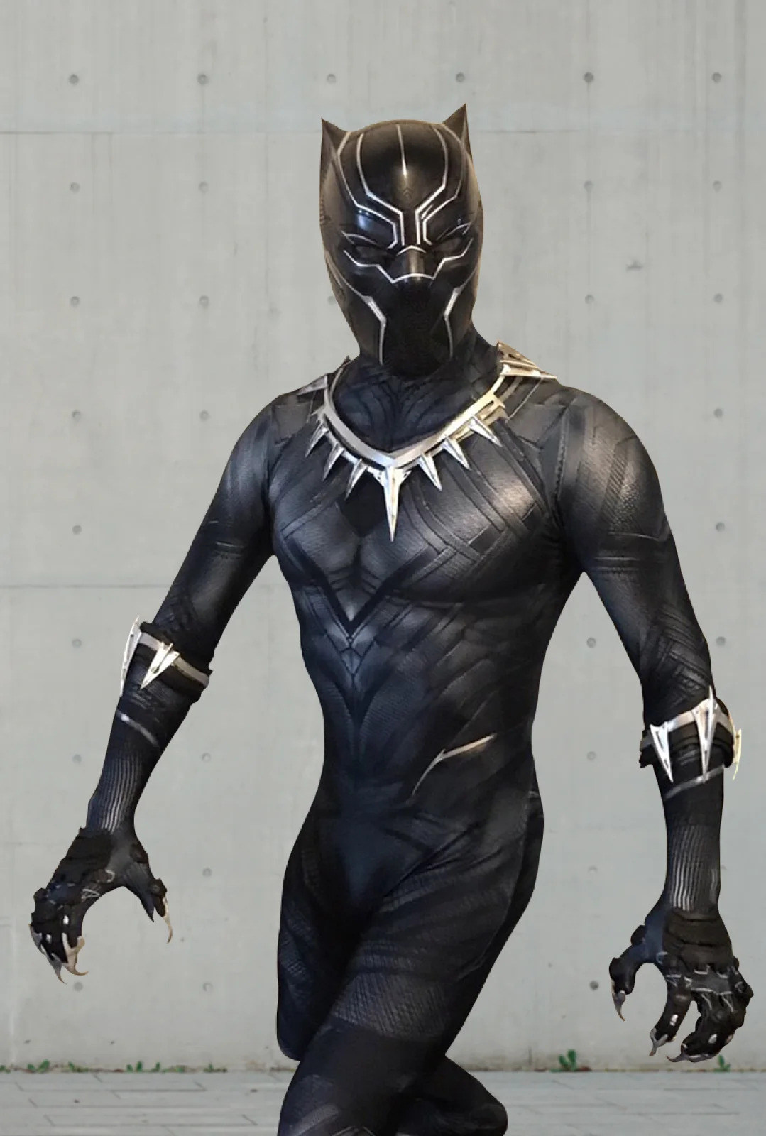 Panther Hero party character in San Jose