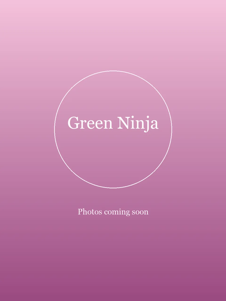 Green Ninja party character in San Jose