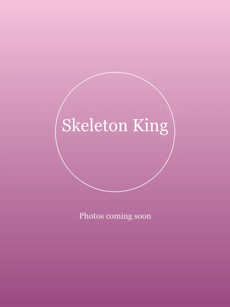 Skeleton King party character photo 1