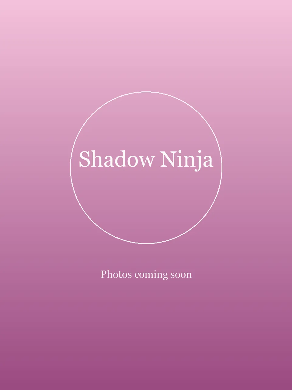 Shadow Ninja party character photo 1
