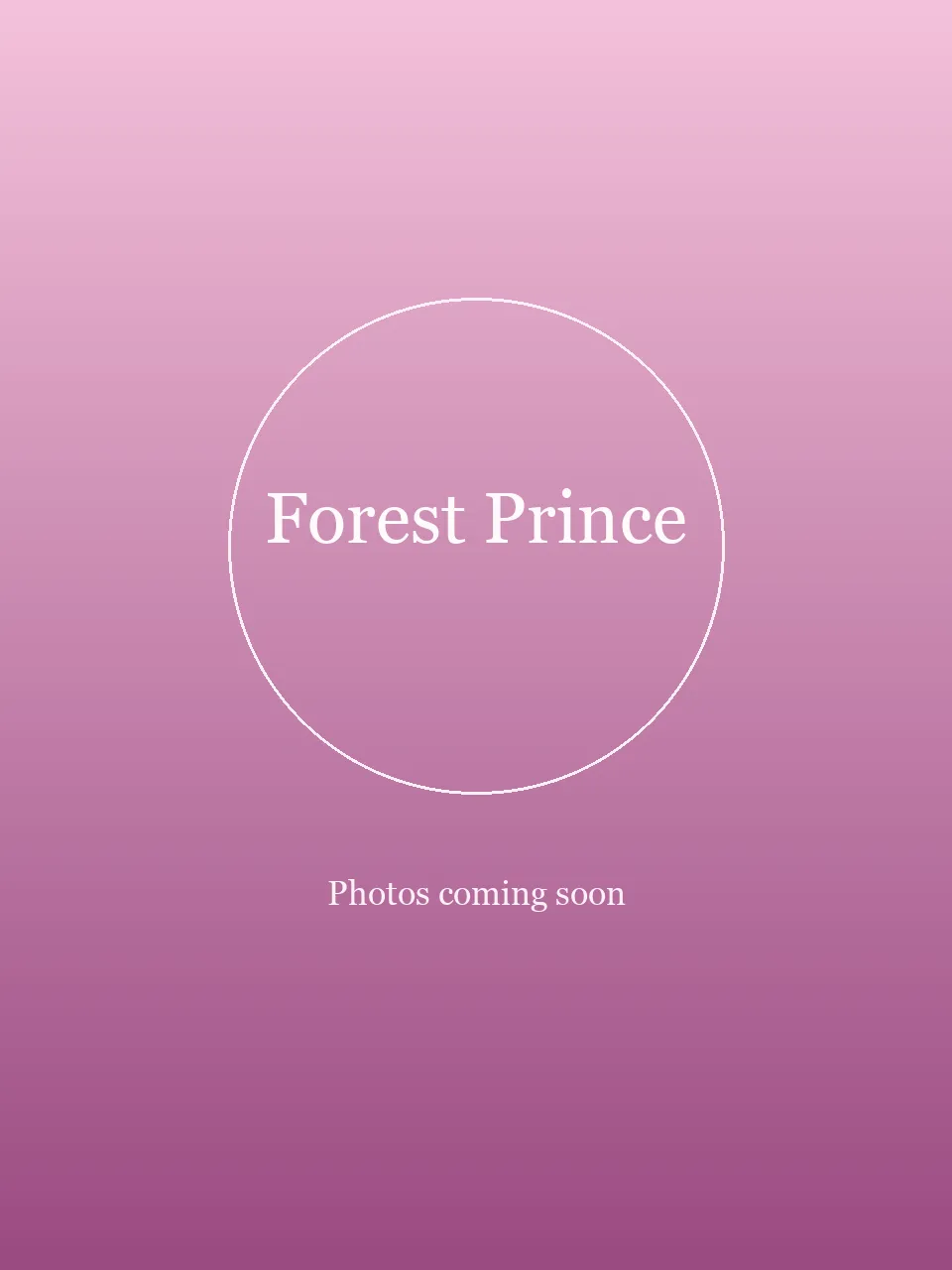 Forest Prince party character in San Jose
