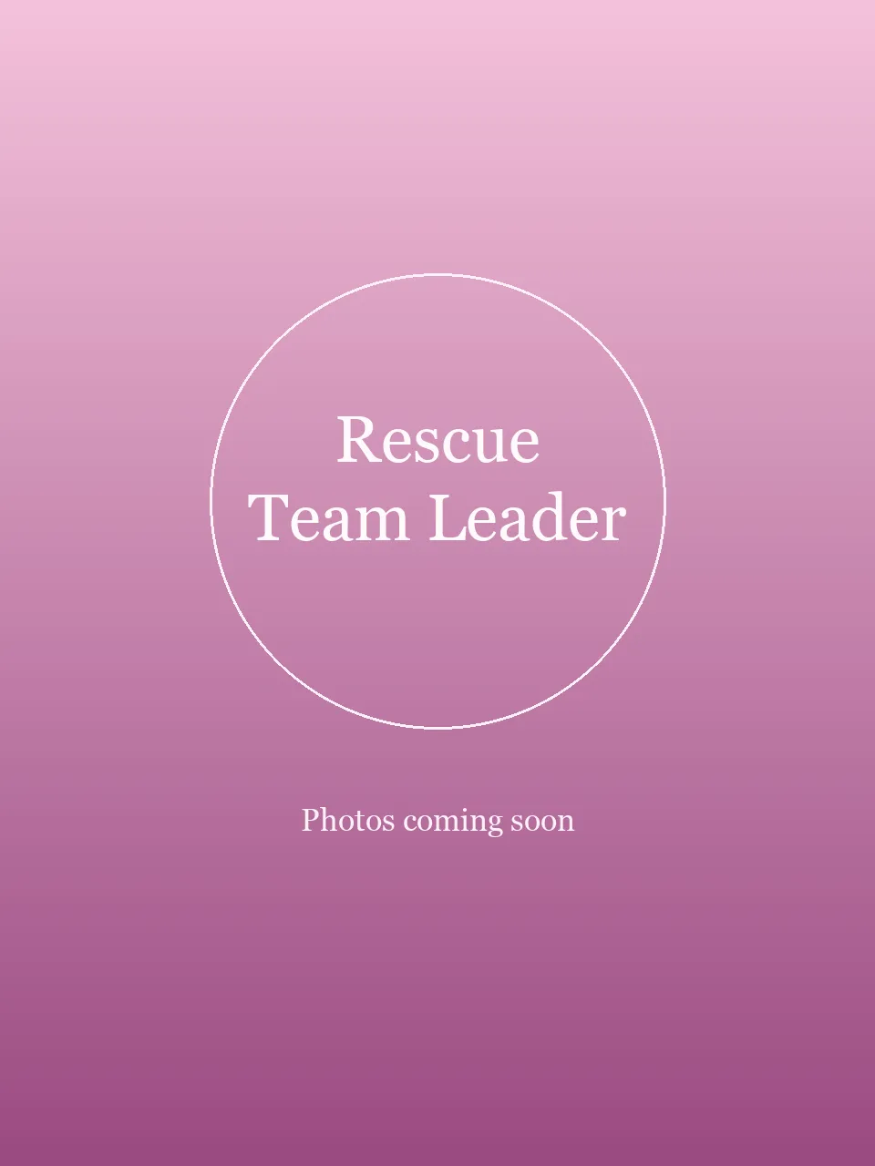 Rescue Team Leader party character in San Jose
